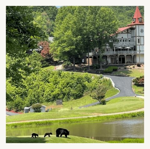 Rooms Valhalla Resort Helen GA rooms-valhalla-resort-helen-ga