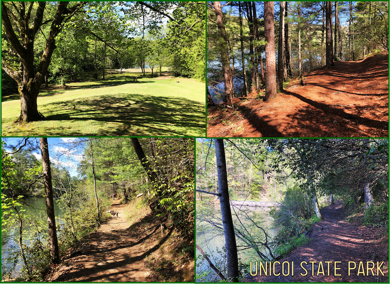 UNICOI HIKING QUAD